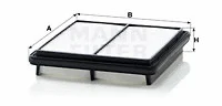 Air Filter (C 2229)