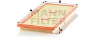 Air Filter (C 43 139)