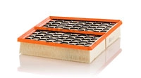 Air Filter (C 34 017)