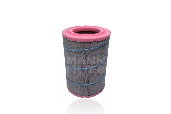 Air Filter (C 31 014/1)