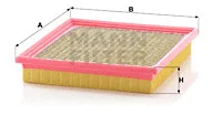 Air Filter (C 24 100)