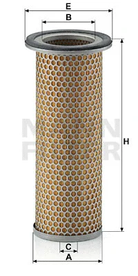 Secondary Air Filter (C 1281)
