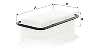 Air Filter (C 2513)