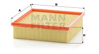 Air Filter (C 22 117)