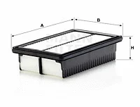 Air Filter (C 25 002)