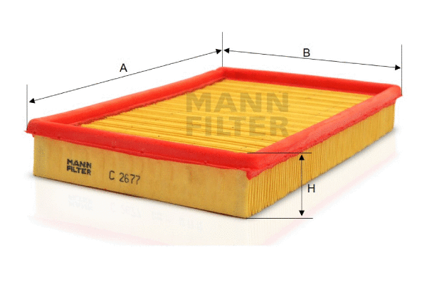 Air Filter (C 2677)