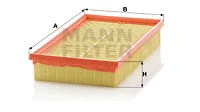 Air Filter (C 2982 KIT)