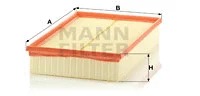 Air Filter (C 30 189)
