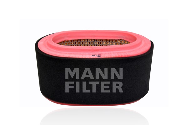 Air Filter (C 25 010)