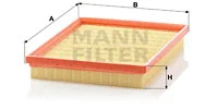 Air Filter (C 2569)