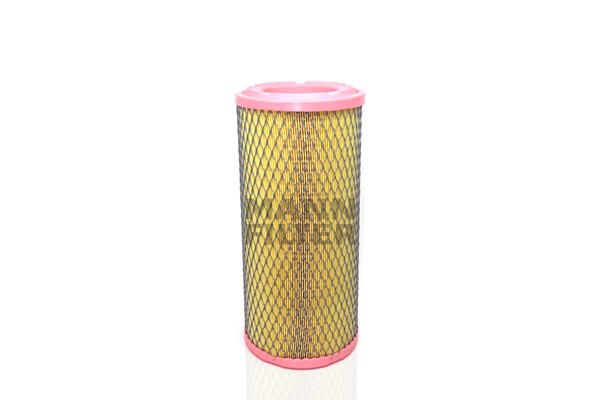Air Filter (C 17 337/3)