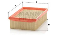 Air Filter (C 2282)
