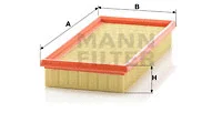 Air Filter (C 2860)