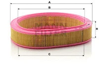 Air Filter (C 2957)