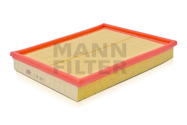 Air Filter (C 30 130/3)