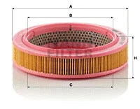 Air Filter (C 2231/1)