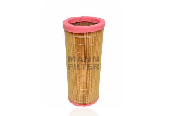 Secondary Air Filter (CF 17 007/1)