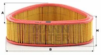 Air Filter (C 2541)