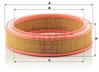 Air Filter (C 2852)