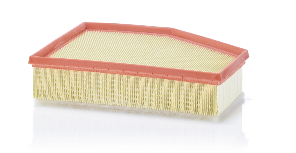 Air Filter (C 28 037)