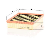 Air Filter (C 25 008/1)