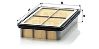 Air Filter (C 2568)