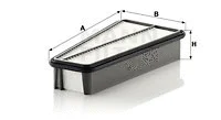 Air Filter (C 35 004)