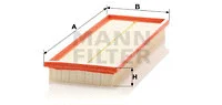 Air Filter (C 3873)