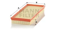 Air Filter (C 38 116)