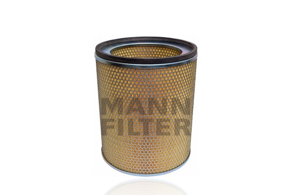 Air Filter (C 30 883)