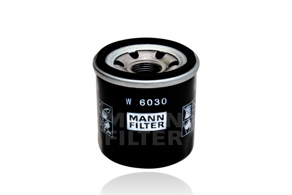 Oil Filter (W 6030)