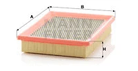 Air Filter (C 2571)