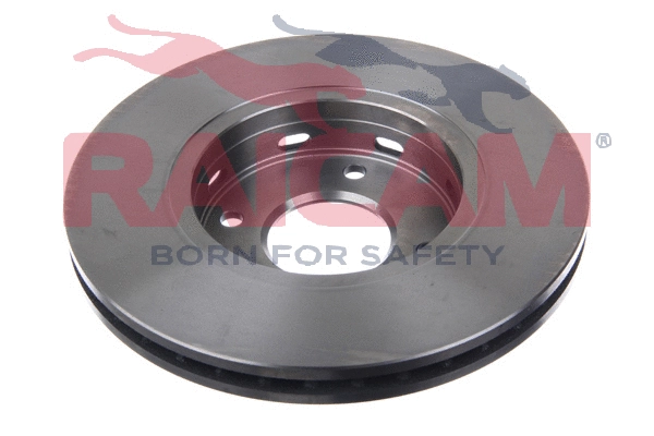 Brake Disc (RD01342)