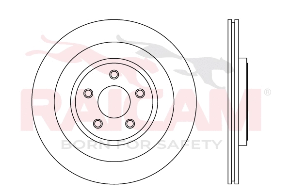 Brake Disc (RD01510)