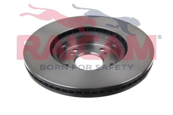 Brake Disc (RD01360)