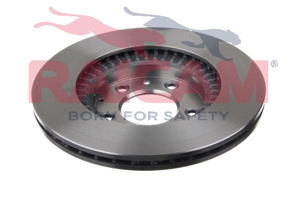 Brake Disc (RD01319)