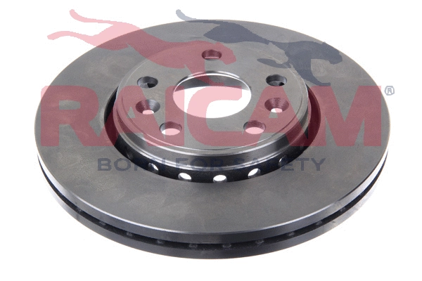 Brake Disc (RD01369)