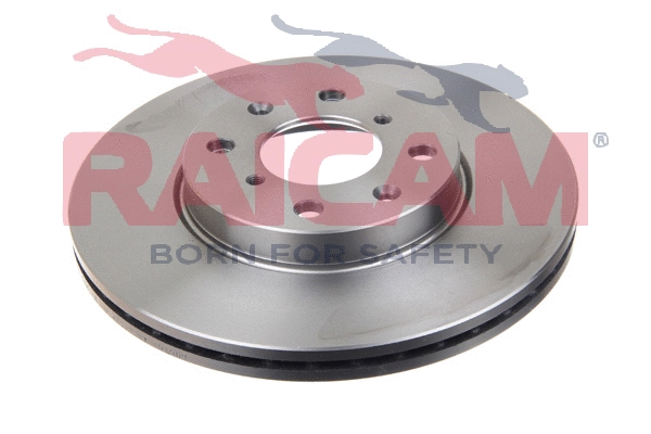 Brake Disc (RD01007)