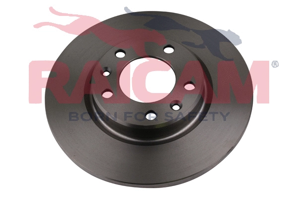Brake Disc (RD01252)