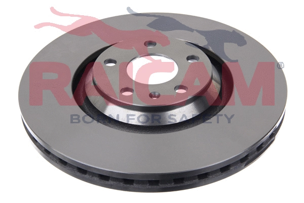Brake Disc (RD01210)
