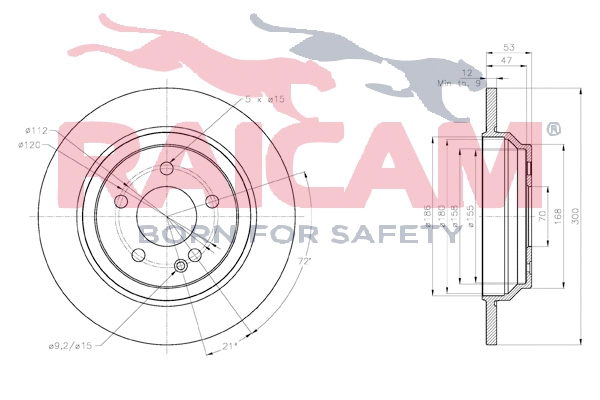 Brake Disc (RD01296)