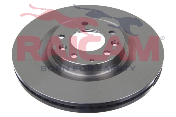 Brake Disc (RD01449)
