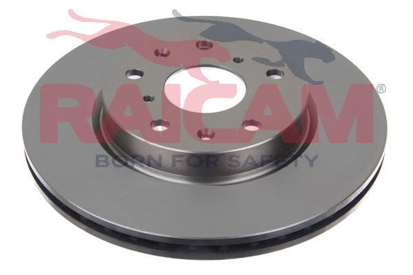 Brake Disc (RD01010)