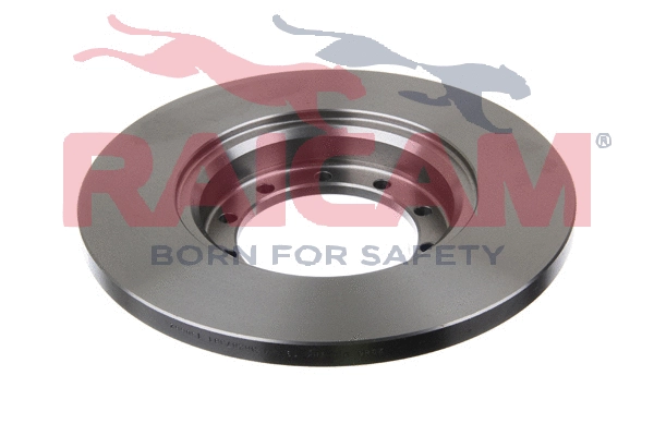 Brake Disc (RD01307)