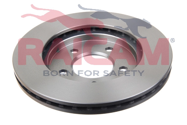 Brake Disc (RD01013)