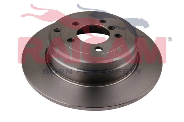Brake Disc (RD01421)