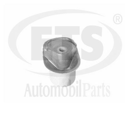 Mounting, control/trailing arm (31.SB.325)