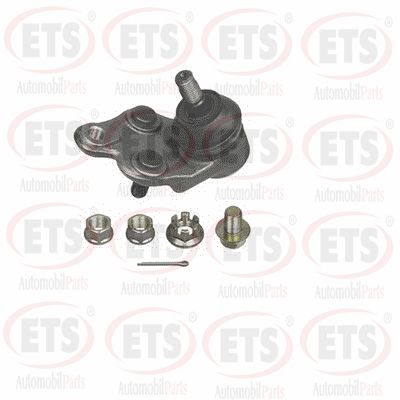 Ball Joint (29.BJ.193)