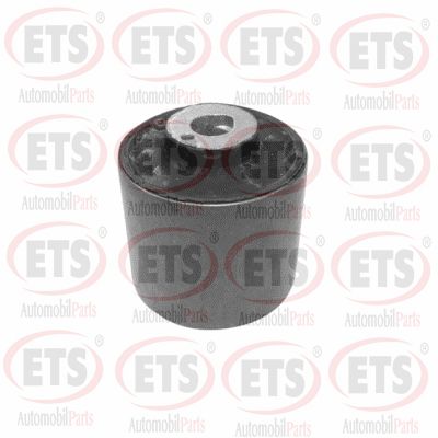 Mounting, control/trailing arm (15.SB.510)