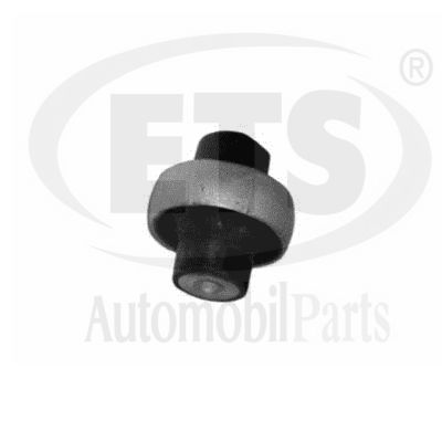 Mounting, control/trailing arm (05.SB.763)